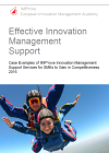 Effective Innovation Management Support